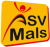 logo SSV NATURNS